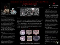Figure 4: This poster, describing differences in stem and leaf anatomy in P. picta and P. aphylla, was presented at the BSA conference in Providence, RI (2010).